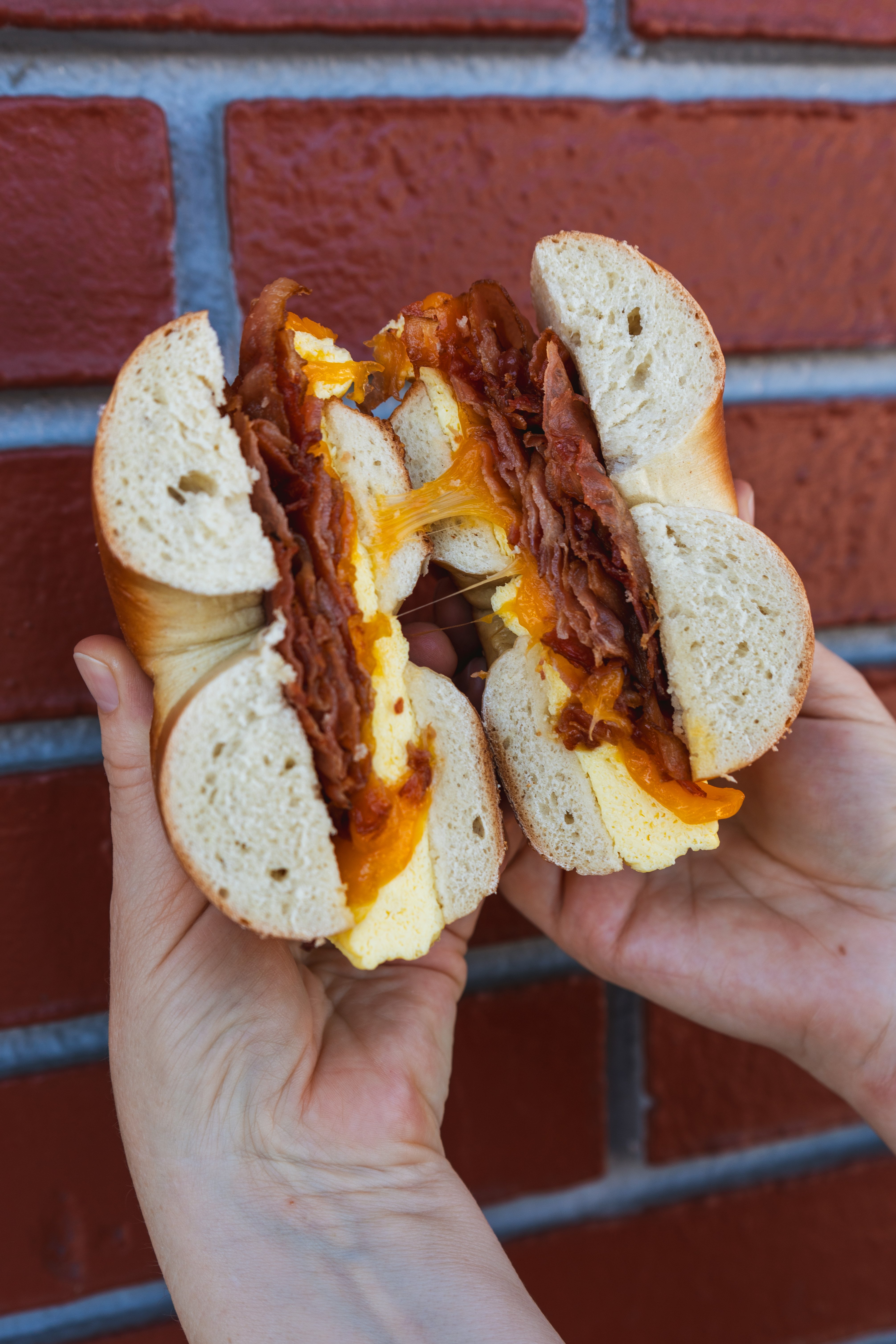 Bagel-Sandwhich-Broll